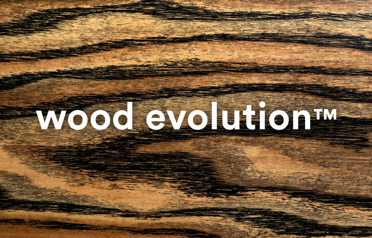 Wooden topsheet in wood evolution technology